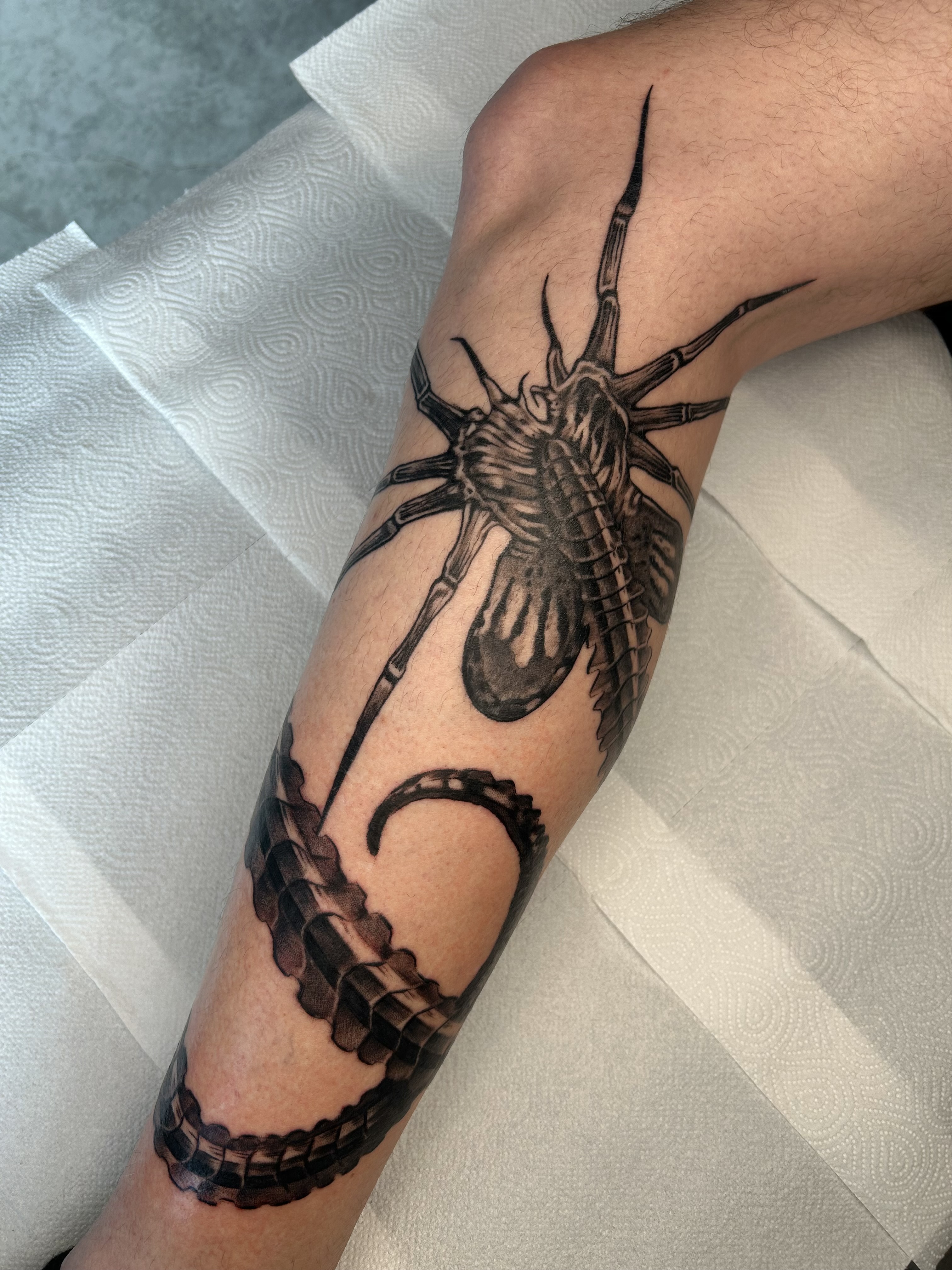 Tattoo 3